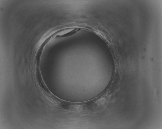 X0000070370295200606231654