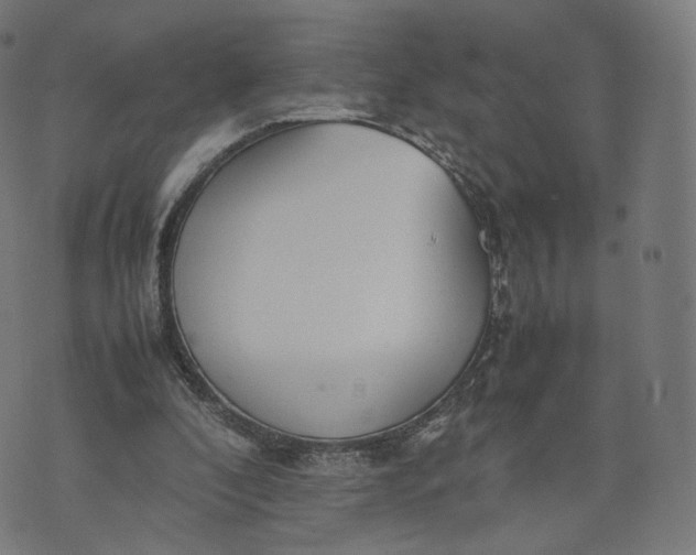 X0000070370296200606231654