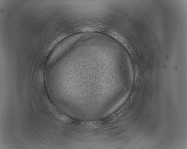 X0000070370297200606231654