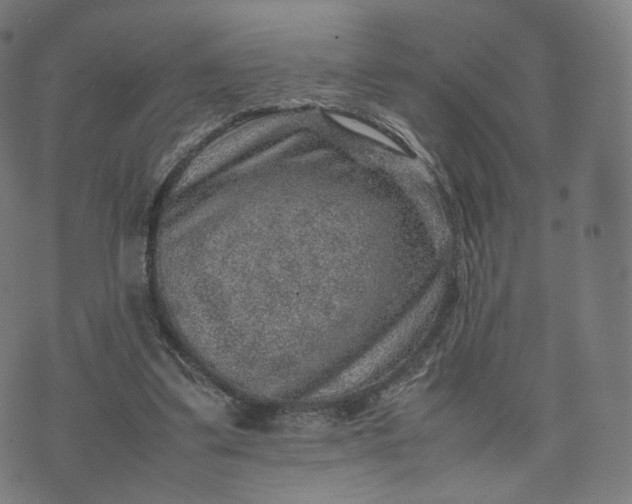 X0000070370299200606231654