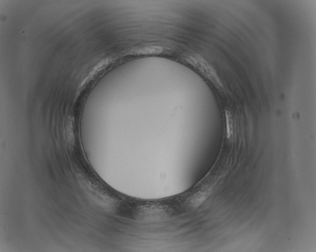 X0000070370300200606231654