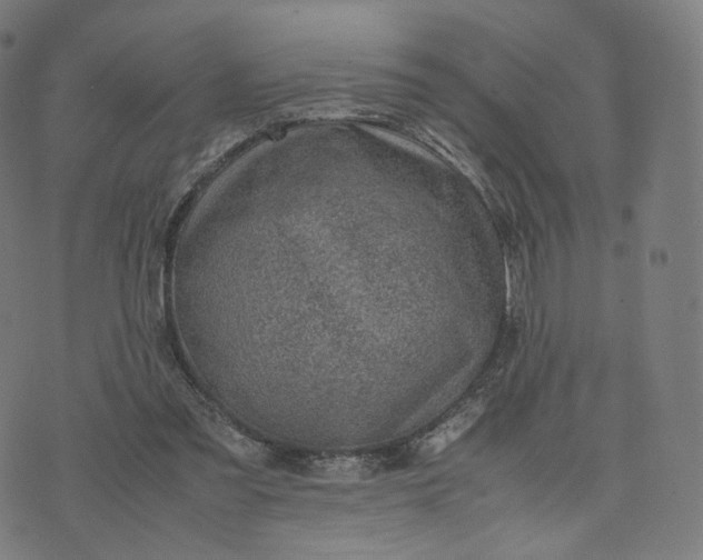 X0000070370301200606231654