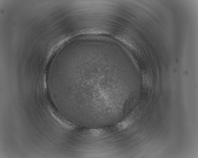 X0000070370302200606231654