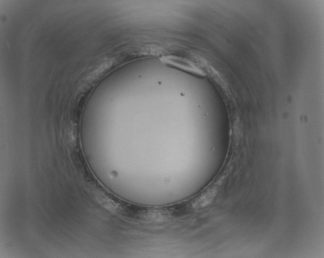 X0000070370305200606231654