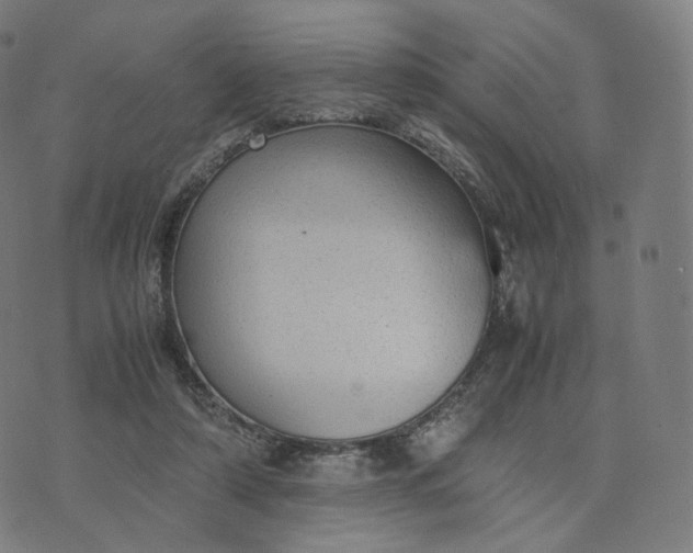 X0000070370306200606231654