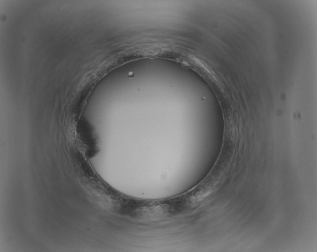 X0000070370307200606231654