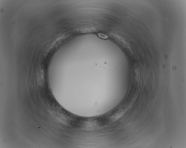 X0000070370308200606231654