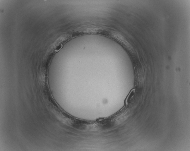 X0000070370309200606231654