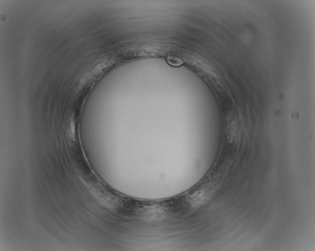 X0000070370310200606231654