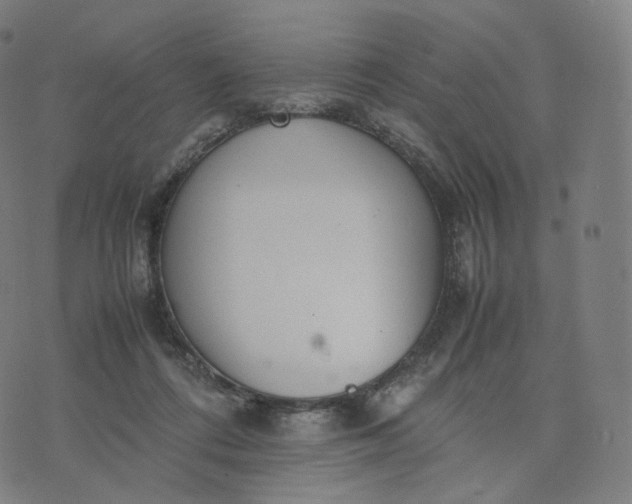 X0000070370312200606231654