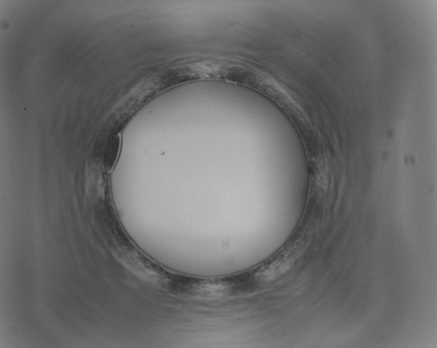 X0000070370313200606231654