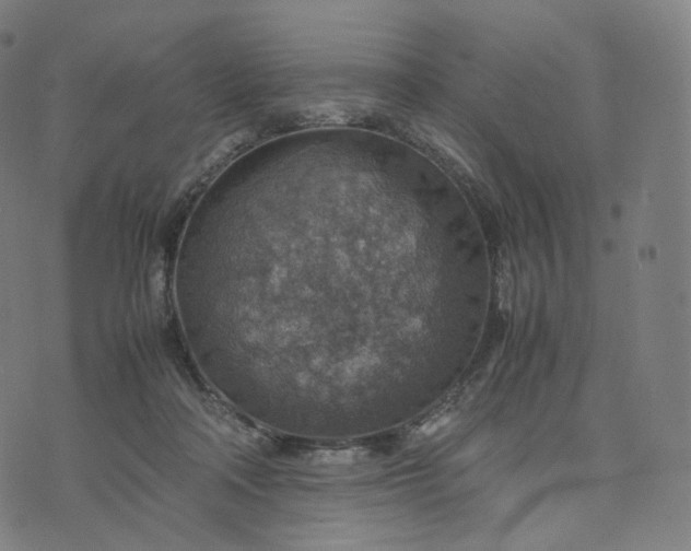 X0000070370314200606231654