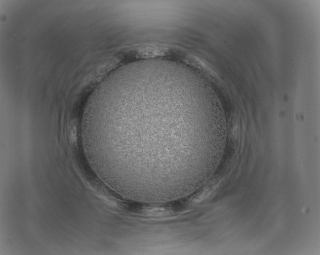 X0000070370315200606231654