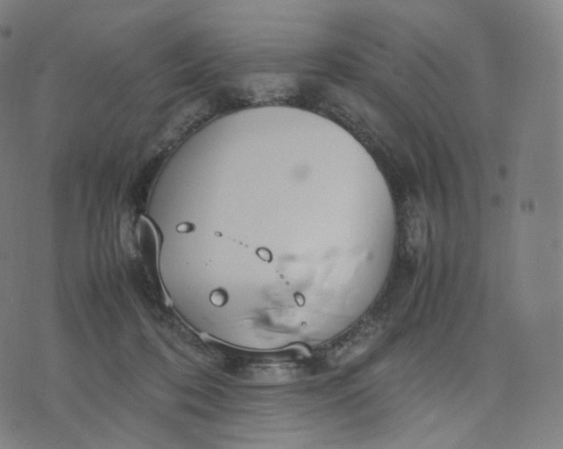 X0000070370316200606231654