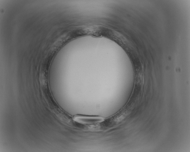 X0000070370317200606231654