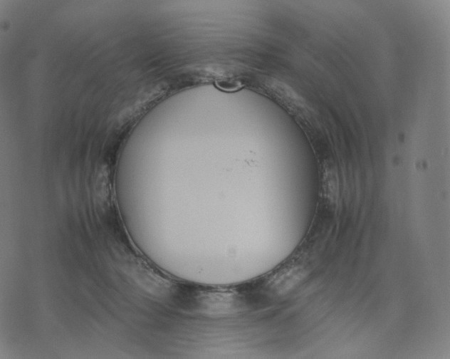 X0000070370318200606231654