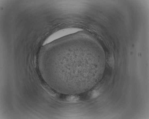 X0000070370319200606231654