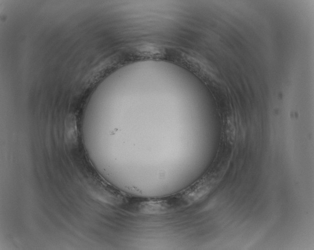 X0000070370320200606231654