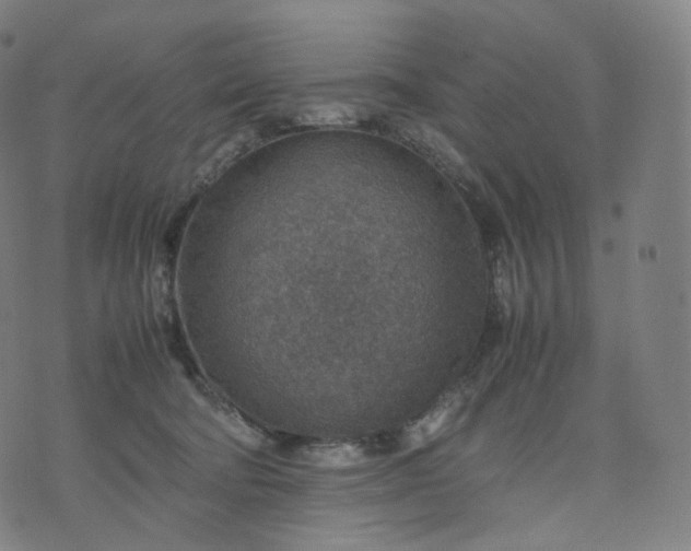 X0000070370322200606231654