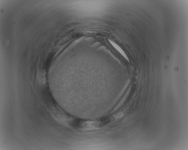 X0000070370323200606231654