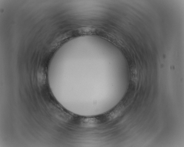 X0000070370324200606231654