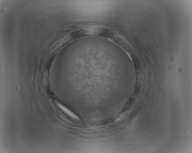 X0000070370325200606231654