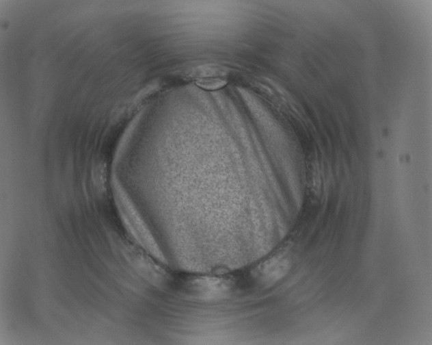 X0000070370326200606231654