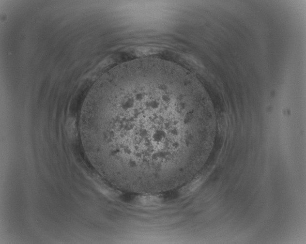 X0000070370327200606231653