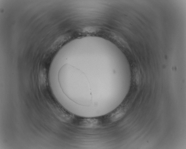 X0000070370328200606231653