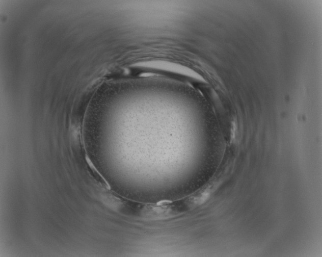 X0000070370329200606231653