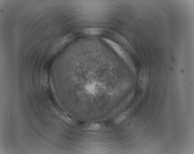 X0000070370330200606231653