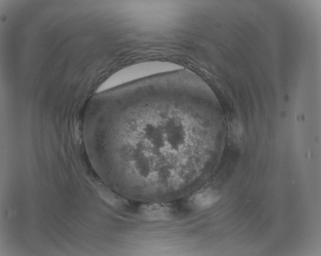 X0000070370331200606231653