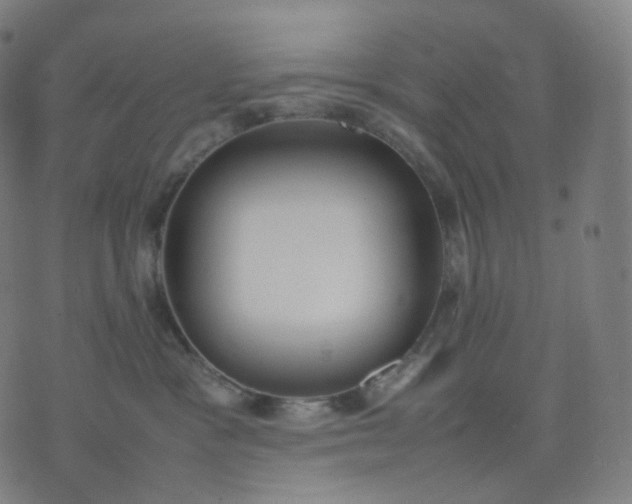 X0000070370333200606231653