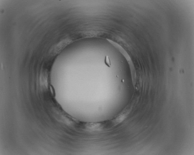 X0000070370334200606231653