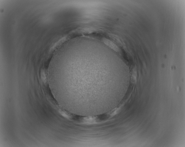 X0000070370335200606231653