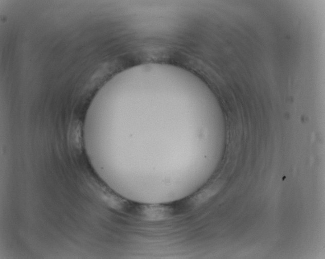 X0000070370336200606231653