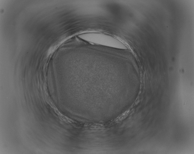 X0000070370337200606231653