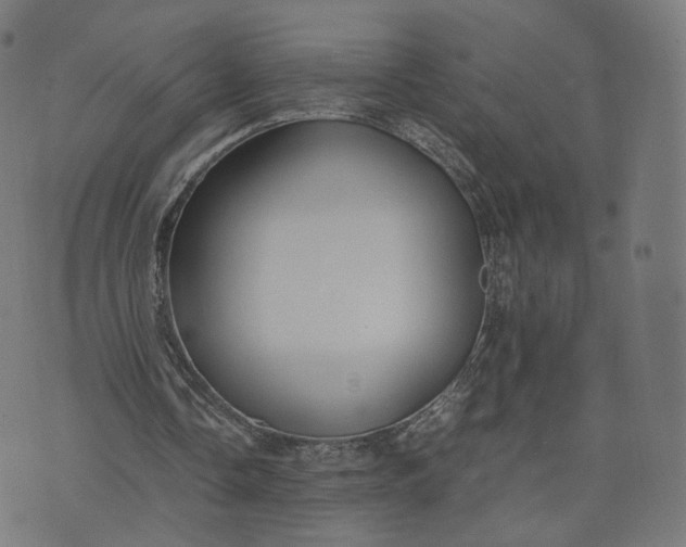 X0000070370338200606231653