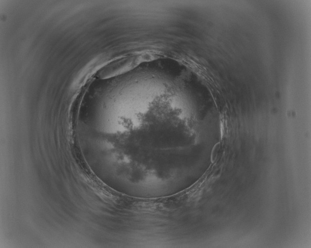 X0000070370339200606231653