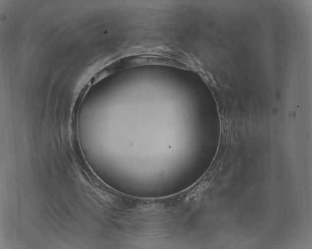 X0000070370340200606231653