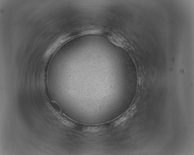 X0000070370341200606231653