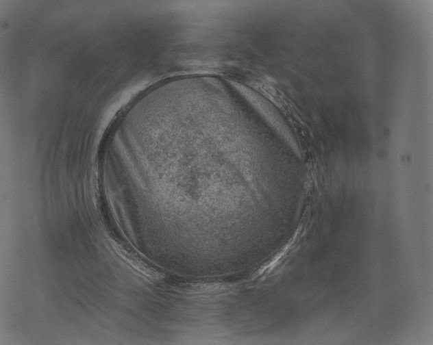 X0000070370342200606231653