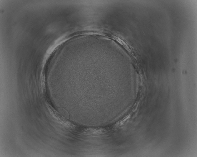 X0000070370343200606231653