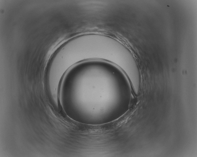 X0000070370344200606231653