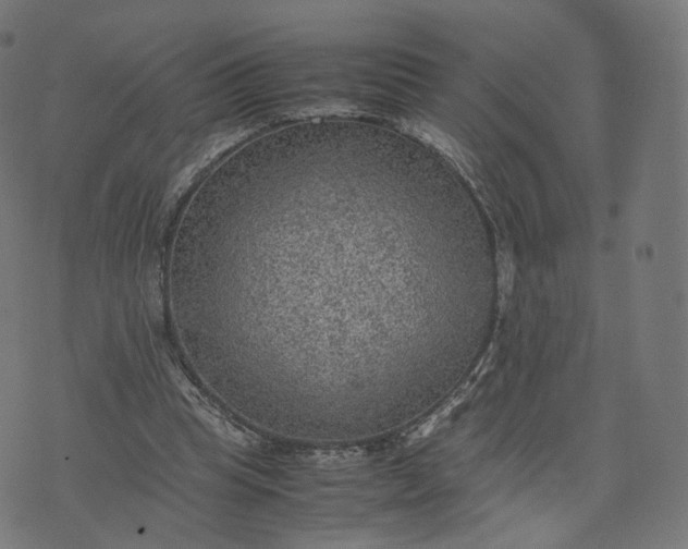 X0000070370345200606231653