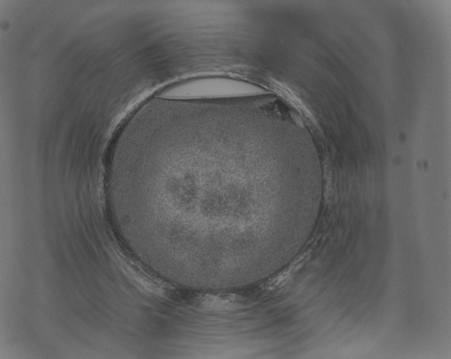 X0000070370346200606231653