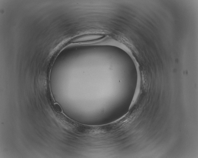 X0000070370348200606231653