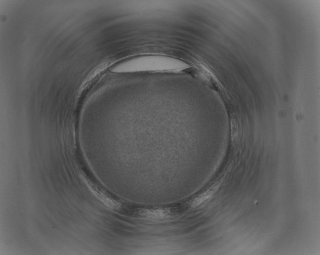 X0000070370349200606231653