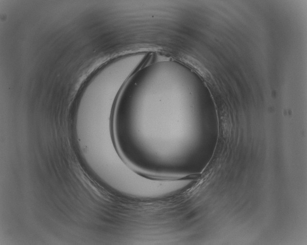 X0000070370350200606231653