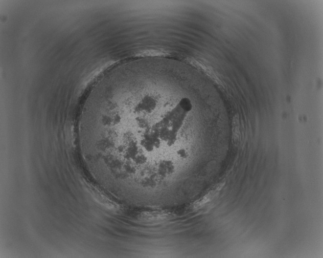 X0000070370351200606231653